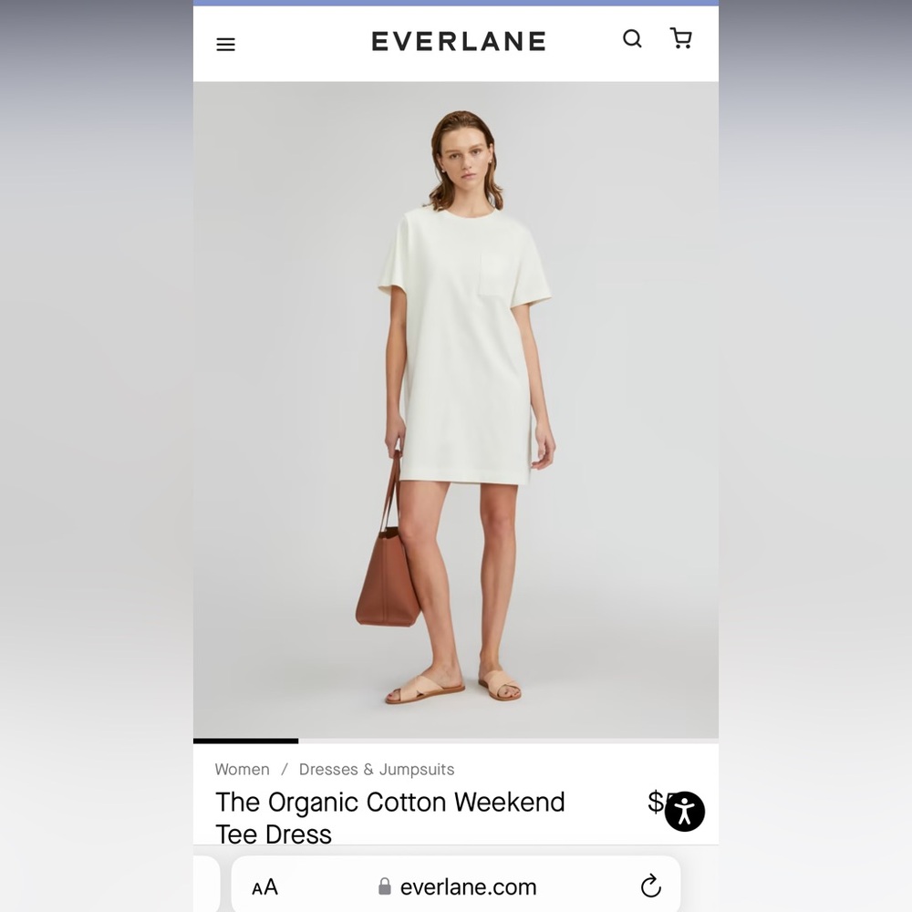 NWT everlane shirt dress